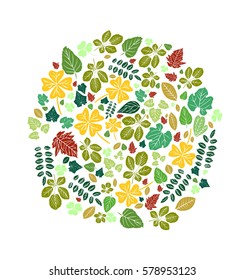 Autumn illustration with different kind of leaves in a circle shape.