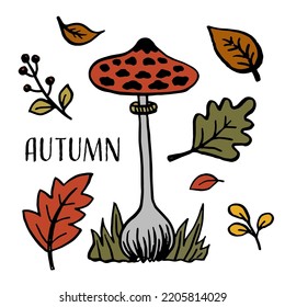 Autumn illustration with falling leaves, berries and mushroom, fall floral elements and inscription Autumn. Background for fall season. Vector illustration isolated on white. Thanksgiving invitation