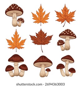 Ilustração de outono com folhas de bordo coloridas e várias espécies de cogumelos, evocando uma vibração da temporada de queda com elementos naturais.