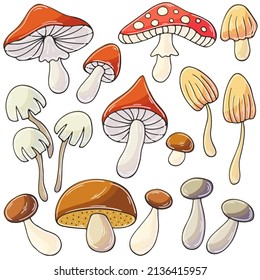 Autumn illustration in hand drawn style. Children's drawing