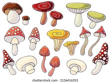 Autumn illustration in hand drawn style. Children's drawing