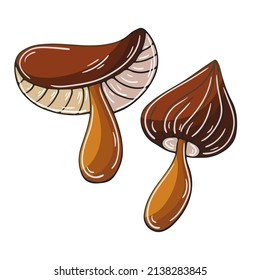 Autumn illustration in hand drawn style. Children's drawing