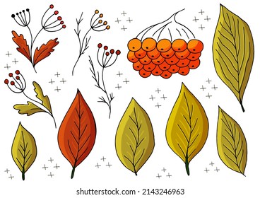 Autumn illustration in hand drawn style. drawing