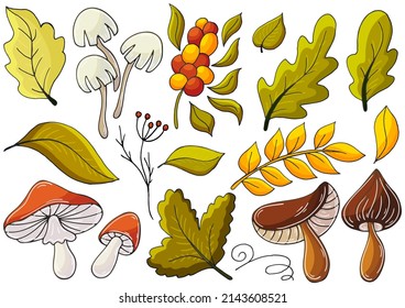 Autumn illustration in hand drawn style. Children's drawing