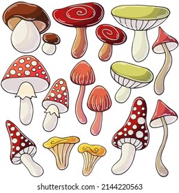 Autumn illustration in hand drawn style. Children's drawing