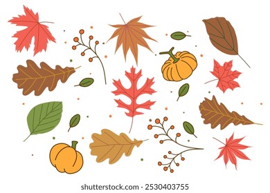 Autumn illustration. Autumn maple leaf and pumpkin pattern illustration