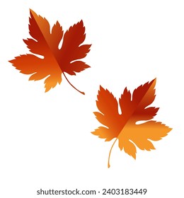 autumn illustration nature holiday season decoration thanksgiving pumpkin leaf isolated orange art design plant background garden