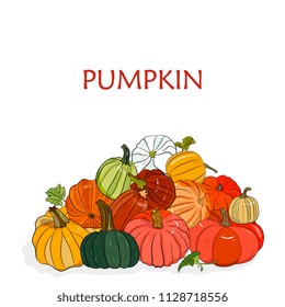 autumn illustration of set a large harvest of pumpkins. colorful ripe pumpkins. Isolated on white background. Hand draw. vegetarian objects. Use for restaurant, menu, grocery, market, party. Halloween