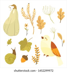 Autumn illustration, tea time, pumpkins. Fall season. Forest. Simple cartoon flat style. Vector illustration