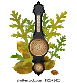 Autumn  illustration : vector barometer with leaves
