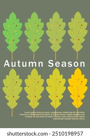 Autumn illustrations. Patterns and simple pictures. Hello Autumn. Background for sale banner, poster, flyer, cover. Autumn card