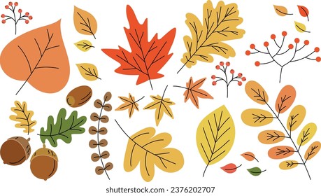 Autumn image clip art such as autumn leaves, acorns, etc