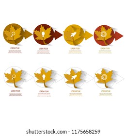 autumn infographic template element