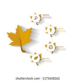 autumn infographic template element
