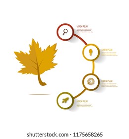 autumn infographic template element