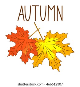 Autumn inscription maple leaves, vector illustration