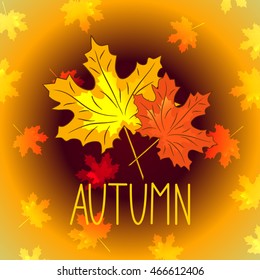 Autumn inscription maple leaves, vector illustration
