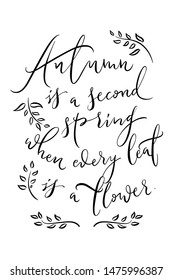 Autumn inspiration text lettering. Handwritten calligraphy. Vector.