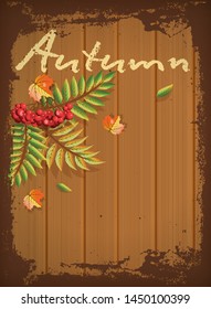 Autumn invitation background, vector illustration
