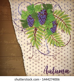 Autumn invitation card with grape, vector illustration