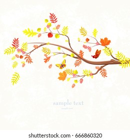 autumn invitation card with lovely branch of tree and butterflies for your design