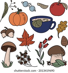 Autumn items, leaves, acorns, mushrooms, cone, cup with warm tea, berries, apple