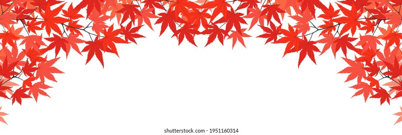 autumn Japanese maple's decorative frame