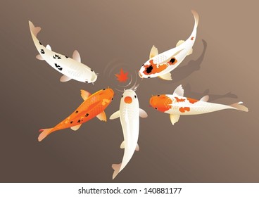 Autumn koi. The vector illlustration of fiva Koi carps around autumn fallen leaf on water.