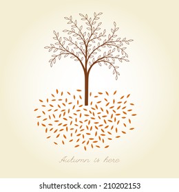 autumn landscape