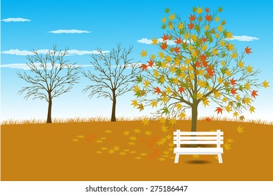 Autumn Landscape background Vector illustration 