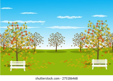 Autumn Landscape background Vector illustration 