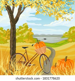 Herbstlandschaft mit Fahrrad und Kürbis.