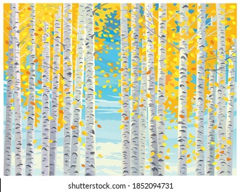 Autumn landscape, with birch trees and yellow autumn leaves falling to the ground.