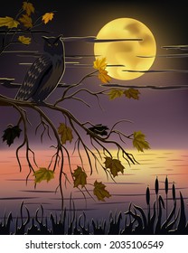 Autumn landscape with a bird on the tree.Owl on a tree branch against a sunset background in color vector illustration.