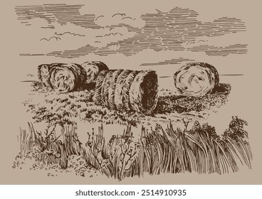 Autumn landscape. Collecting hay in the field. Linear hand sketch converted to vector drawing