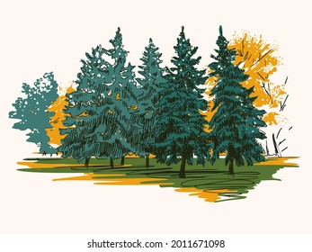 Autumn landscape with coniferous forest.  Hand-drawn illustration. Vector.