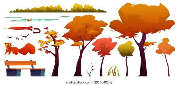 Autumn landscape elements set isolated trees and bushes, puddles on road, wooden bench and umbrella, orange squirrel and flying birds, foliage leaves and grass, maple birch, fall park forest objects