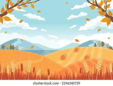 Autumn landscape. Fields with crops, wheat golden ripe spikelets, round hay bales. Vector illustration in flat style