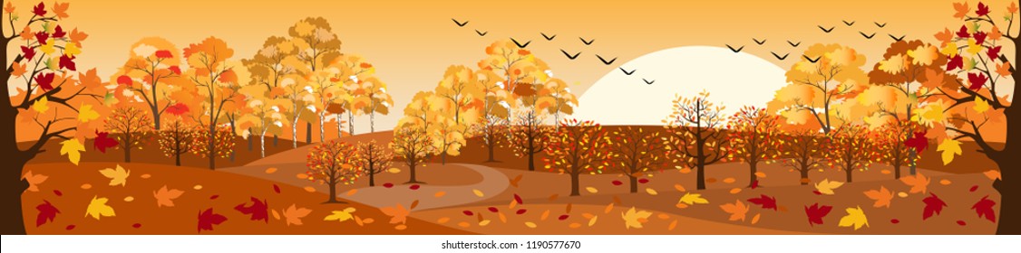 Autumn landscape forest trees with sun in morning,Vector cartoon Panoramic of mid autumn field, mountains, leaves falling from trees in orange foliage.Wonderland landscape in fall season