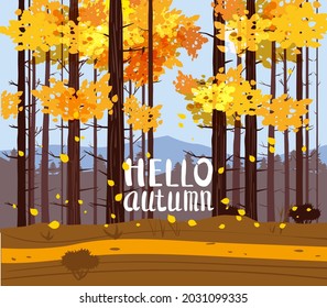 Autumn landscape park, forest with text Hello Autumn. Fall, trees in yellow orange foliage, alley, path. Vector background illustration, poster