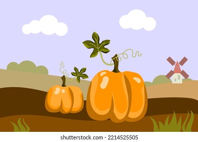 Autumn landscape with pumpkin fields.