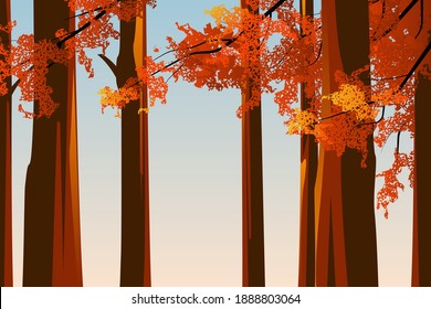 Autumn landscape, tall tress with colorful leaves