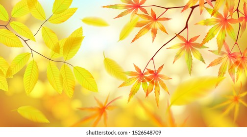 Autumn landscape with tree branches and falling leaves. Realistic vector background