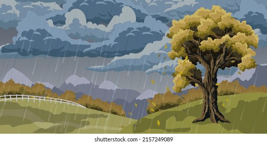 autumn landscape with a tree on a hill. Cloudy and rainy autumn day. Leaves fall from oak. Yellowed forest and mountains in the background.