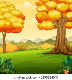 Autumn landscape with trees in the park