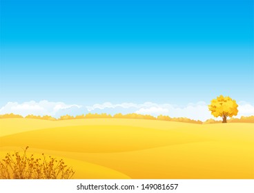 Autumn landscape. Vector landscape of yellow fields with grass and alone tree. 