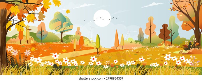 Autumn landscape wonderland forest with grass land, Mid autumn natural in orange foliage, Fall season with beautiful panoramic view with sun, clouds, mountain and maples leaves falling from trees