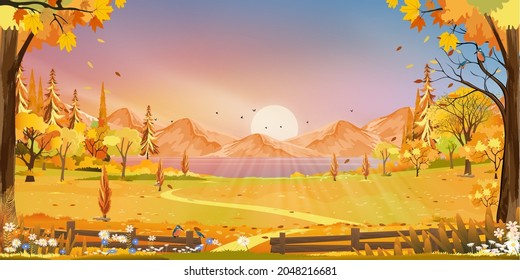 Autumn landscape wonderland forest with grass land, Mid autumn natural in orange foliage, Fall season with beautiful panoramic view with sunset behind mountain and maples leaves falling from trees 