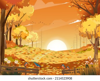 Autumn landscape wonderland forest with grass land, Mid autumn natural in orange foliage, Fall season with beautiful panoramic view with sunset behind mountain and maples leaves falling from trees 