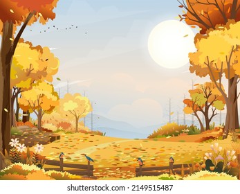 Autumn landscape wonderland forest with grass land, Mid autumn natural in orange foliage, Fall season with beautiful panoramic view with sunset behind mountain and maples leaves falling from trees 